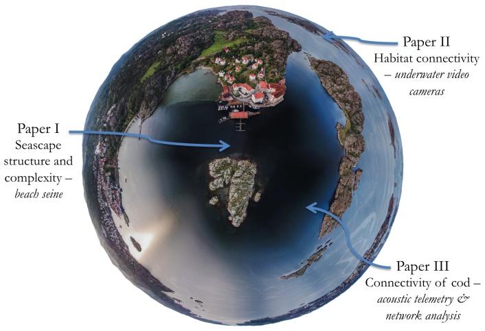 Methods Collecting fish data In order to collect data on fish assemblages and movement patterns in the coastal seascape, three methods were employed (Fig. 6).