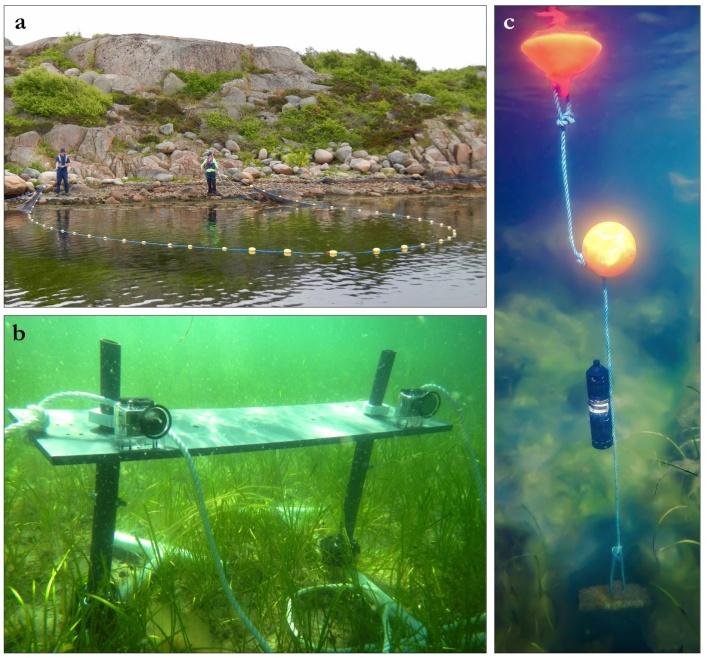 compared to other fishing methods, such as beam trawling (Guest et al. 2003).