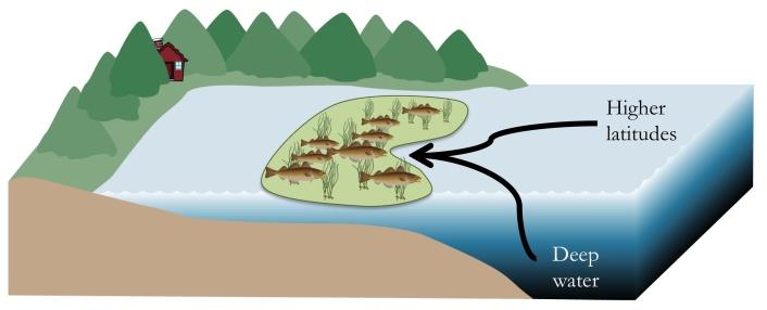 scale approaches that may be necessary for understanding patterns of organisms which can offer further insight into marine ecosystem dynamics.