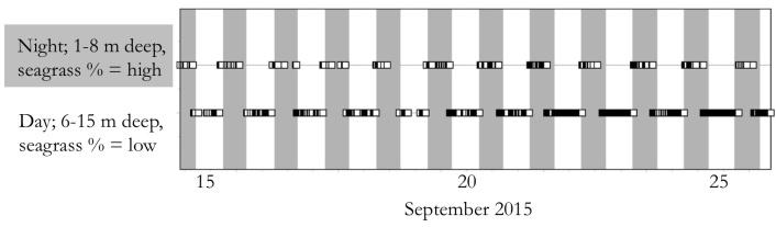 Diel changes in the fish assemblage An important part of assessing any fish assemblage is not only to take into account seasonal differences, but investigating the fish structure throughout the daily