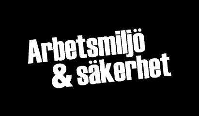 ARBETSMILJÖANSVAR OCH