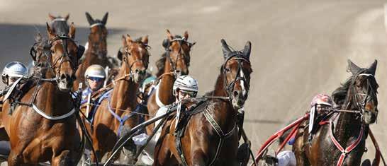 Defilering: : SOLVALLA // 0 0 M VOLTSTART START. VINNARE PLATS -åriga och äldre 0.00-00.000 kr. Körsvenskrav kat.. 0 m. Tillägg 0 m vid vunna 00.00 kr. Pris: 0.000-0.000-.000-.00-.000-(.00)-(.00) kr.