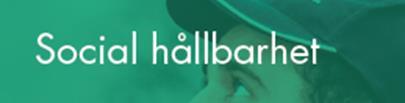 2. HÅLLBARHETSPOLICY I december 2017 antog styrelsen en ny hållbarhetspolicy för Stockholm Vatten och Avfall Den lyder: Vår verksamhet har en avgörande betydelse för en hållbar stad.