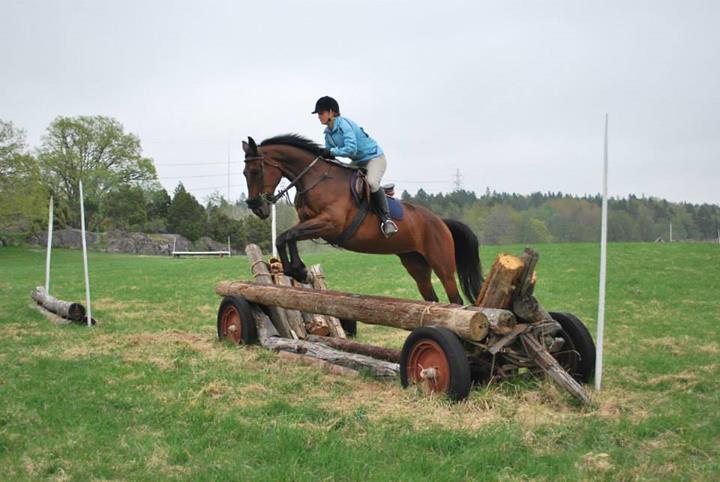 klubbtröja (utan huva), klubbjacka eller ridkavaj ljust i halsen ridbyxor ridstövlar alt.