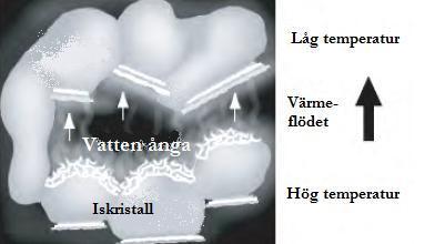 sensibel värmetransport och strålning.