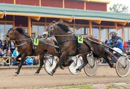 petsstriden var avgjord efter körda 00 meter då enda utmanaren om spets till Bäcklös Uriel, Kalmar, galopperade.