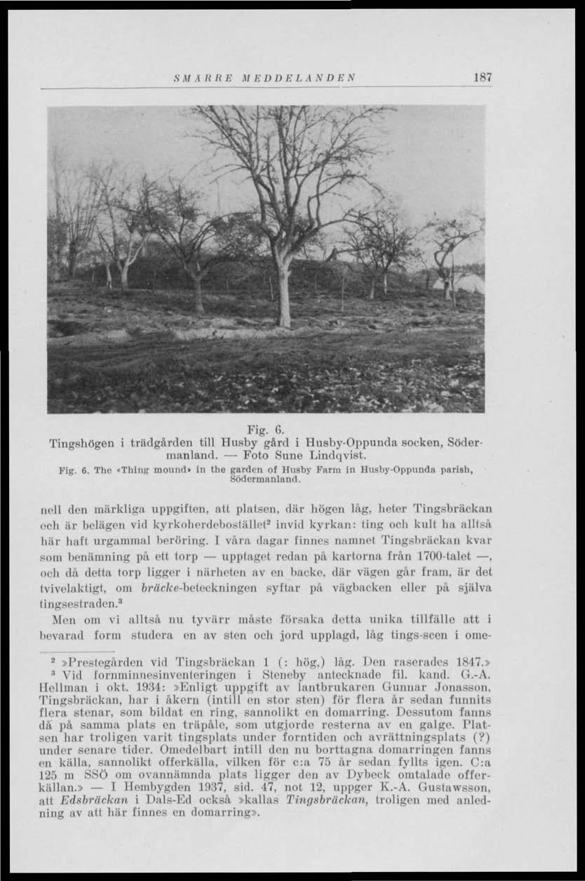 S.17 A II II B.17 E I) I) E 1. A.V 7) 7-;.v 187 I 1, * - T*^*%tim»m ****** Fig. 6. Tingshögen i trädgården till Husby gård i Husby-Oppunda socken, Södermanland. Foto Sune Lindqvist. Fig. 6. The»Thing mound» in the garden of Husby Farm in Husby-Oppunda parish, Södermanland.