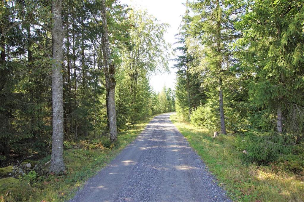 Övrigt Natur och kultur Ingen nyckelbiotop finns registrerad på fastigheten. Källa: Skogens Pärlor, Skogsstyrelsen.