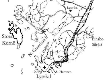 LEDARGUIDEN RÅD OCH TIPS FÖR DIG SOM ÄR LEDARE PÅ STORA Deltagartält är ett praktiskt litet tält för aktiva under