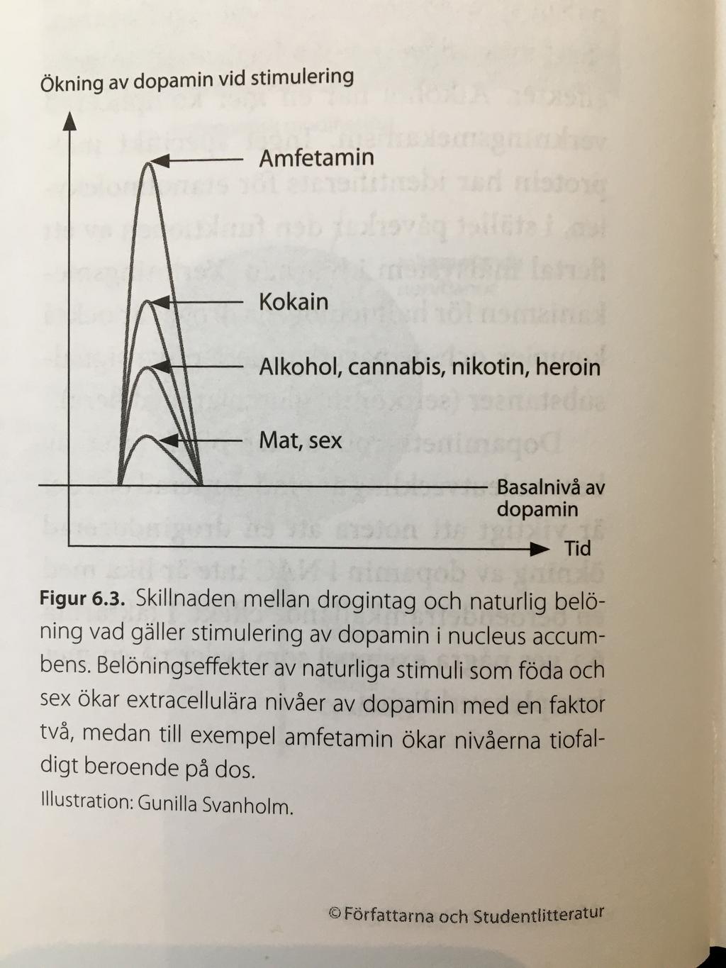 (tillfälligt) via droger och beroendebeteenden Särskilda stimuli väcker sug Ncl accumbens