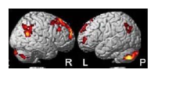 , 66, 115-42) Complex brain circuitry component processes Exekutiva förmågor Paraply-begrepp