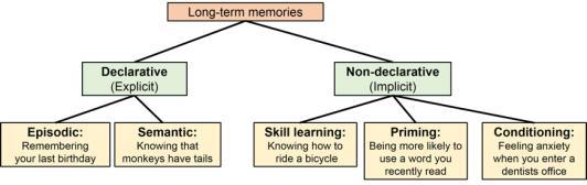 för episodminnet Minnesprocesser Encoding Intentional - incidental Storage Gradual consolidation Retrieval