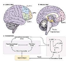 state-dependent memory Available vs.