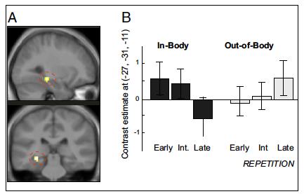 information Memories encoded out-of-body led to little hippocampus activation during early and