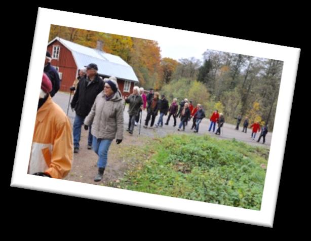 fåglar, blommor och annat vilt. Ta gärna med fågelbok, flora, kikare el.dyl. om du har möjlighet till det. Klädsel efter väderlek. Bekväma promenadskor, kängor eller stövlar rekommenderas.
