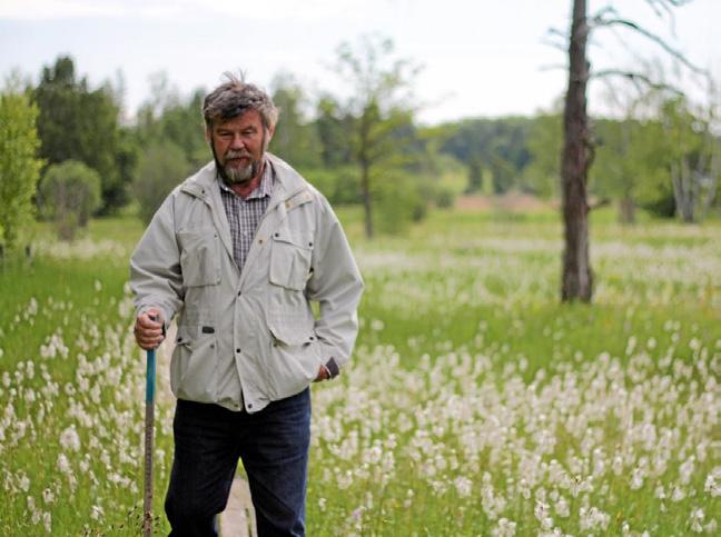Naturskyddsföreningen Skövdes Ordförande Kurt-Anders Johansson talar ur skägget: Denna sommar har det blommat mycket vackert på många ställen i Skövde stad.
