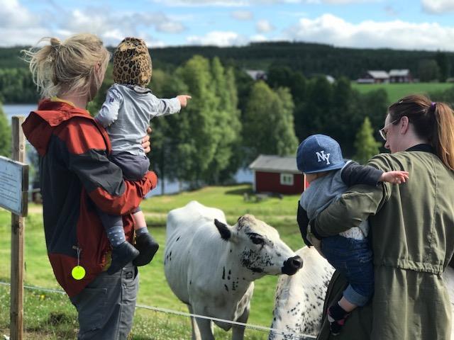 Lanthandel Regionalt