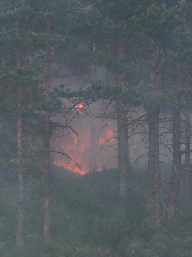 Beskrivning av olycksplatsen Karthälleömossen Karthälleömossen är belägen mellan Bocksboda och Fagerbosjön i Nora kommun.