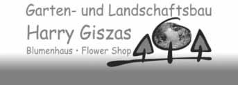 Allein daheim muss nicht sein, kommen Sie zu Sonnenschein.