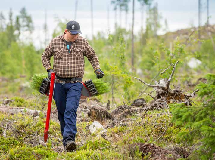 FOTO: MICHAEL ENGMAN PLANTERINGSINTRUKTION Bli proffs på plantering Att plantera är egentligen inte särskilt svårt, men instruktionerna kan ibland vara lite knepiga att förstå sig på.