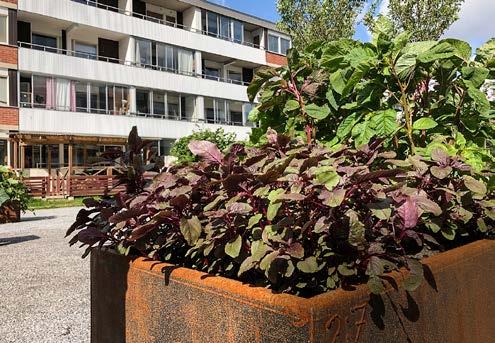 AKTUELLT Nya butiker poppar up Under hösten kommer flera så kallade pop-up -butiker att dyka upp i Huddinge centrum.