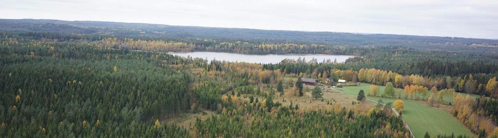 väldränerade sandurfält. Mellan sandurfälten finns stora områden med torv och kärrtorv i myrmarker. De mindre torvmarkerna är troligen dödisgropar d.v.s. sänkor som bildats när is från inlandsisen legat kvar och sedan smält bort.