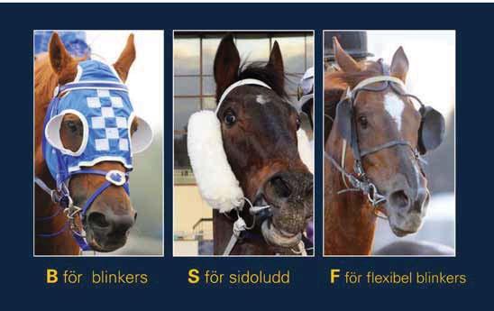 TRIO SABIS 00 gr Ca kl. - PURPURHEART S 9 Rafael De Oliveira 00 gr LIEBLING-LÖPNING, br s Mirio-Saucy Heart / Heart Of Oak (Olsson Sonja) Livs: 9 -- 99 89 (9 8) 00.000 kr 0.000-.