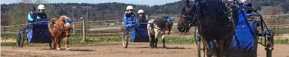 www.abytravet.