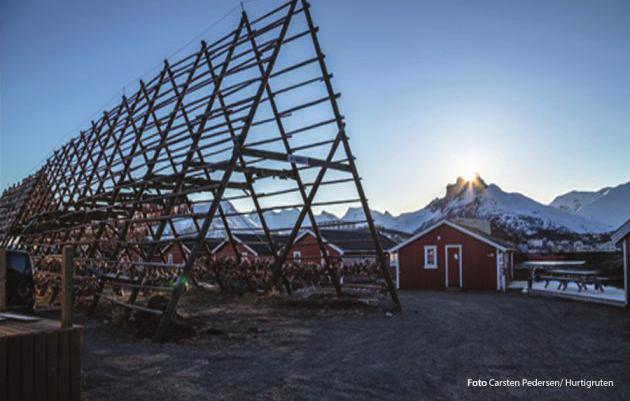 Dag 3 forts.. Klockan 23.45 anländer vi till världens nordligaste metropol Tromsö, en liten storstad vid Norra Ishavets strand.