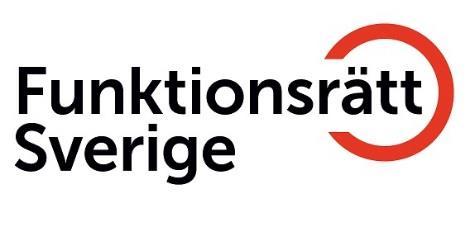 LSS (Dir 2016:40), organiserat en arbetsgrupp.