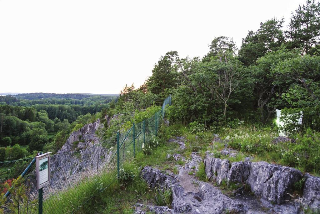 Branten i Marmorbruket Jag har under flera års tid gjort små expeditioner till området runt Kolmården, Getå och Marmorbruket och har ofta gjort mycket fina noteringar av arter man sällan hittar på