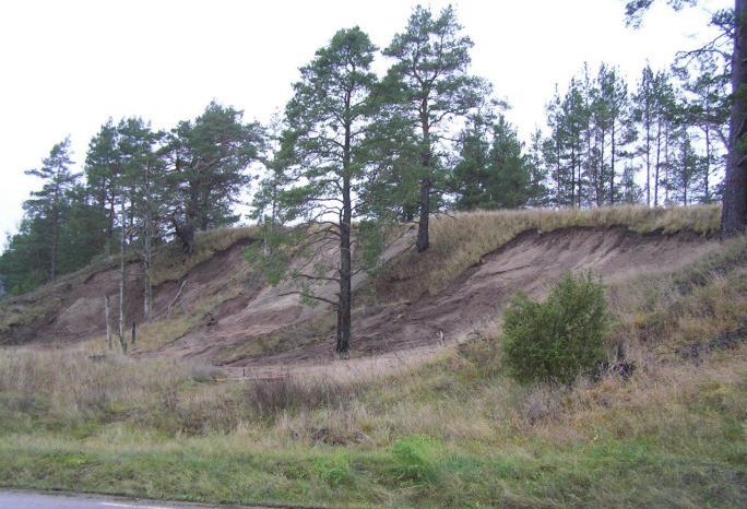 Dessförinnan var endast ett äldre fynd av arten känt från Östergötland, Västra Harg 1888.