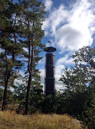 Övriga bestämmelser Fridlysta arter skyddas enligt 8 Artskyddsförordningen (2007:845) i planområdets naturmark norra del. Det är ett större antal idegranar samt ett exemplar av mistel.