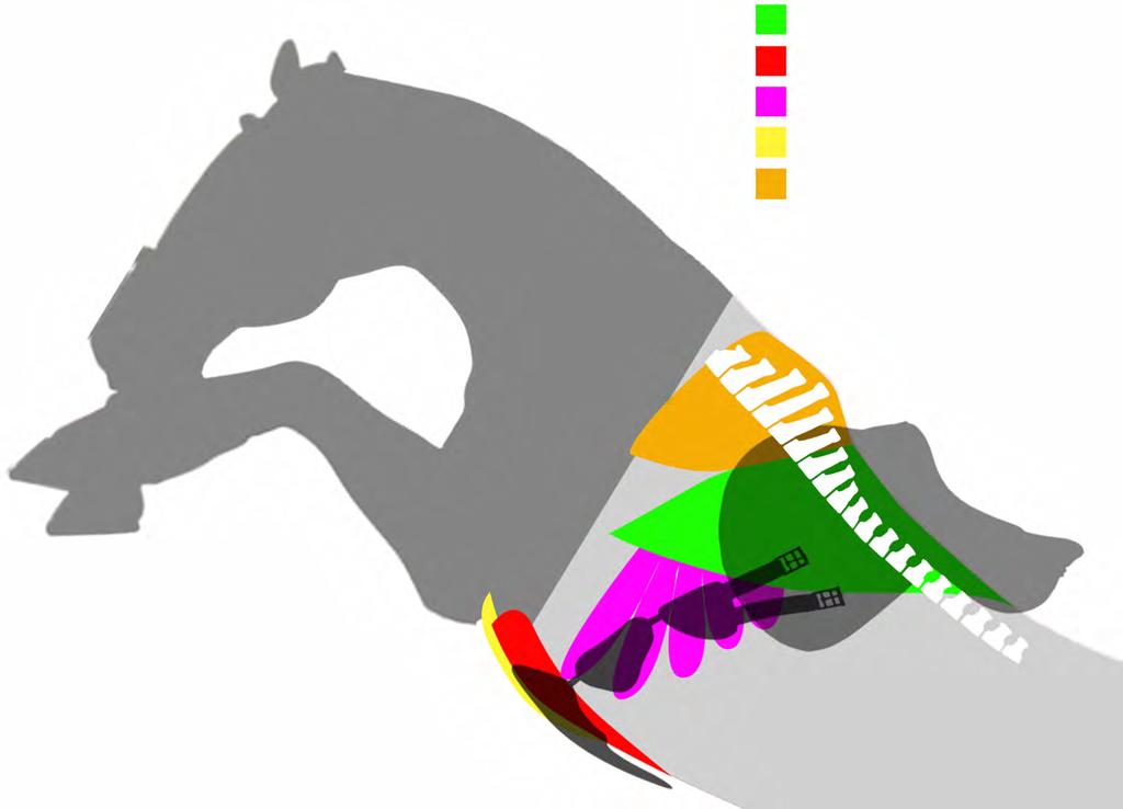 Exsterne intercostale muskler Pectoralis ascendens (subclavius) Snedställa externa magmuskler Externum Thorax trapezius Throrax rtomutskott och kotor Den exklusiva och panteterade