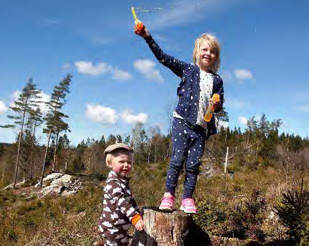 livet
