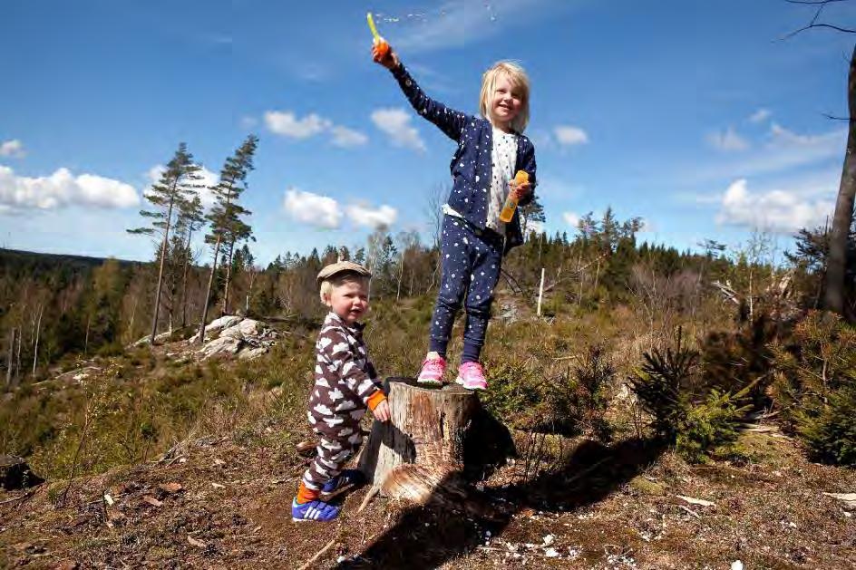 Handlingsplan för Folkhälsoarbete och