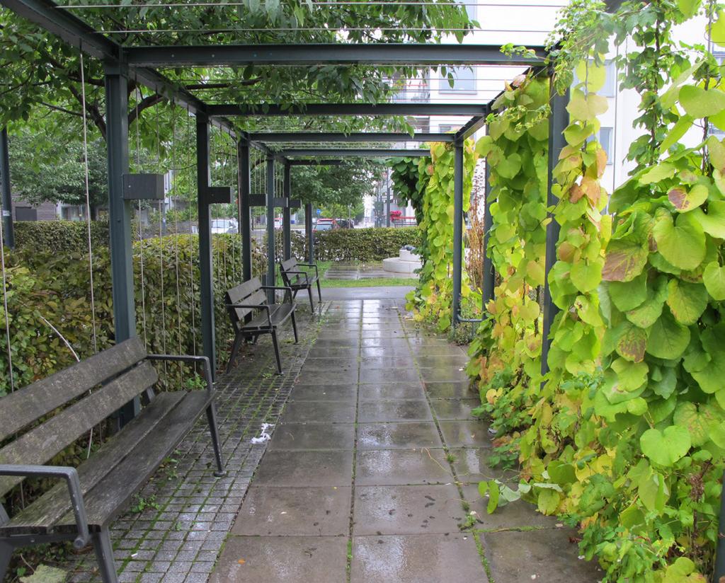 mängden dagvatten vid kraftiga regn. Vegetation bidrar även till att samla upp skadliga luftpartiklar på sin bladyta.