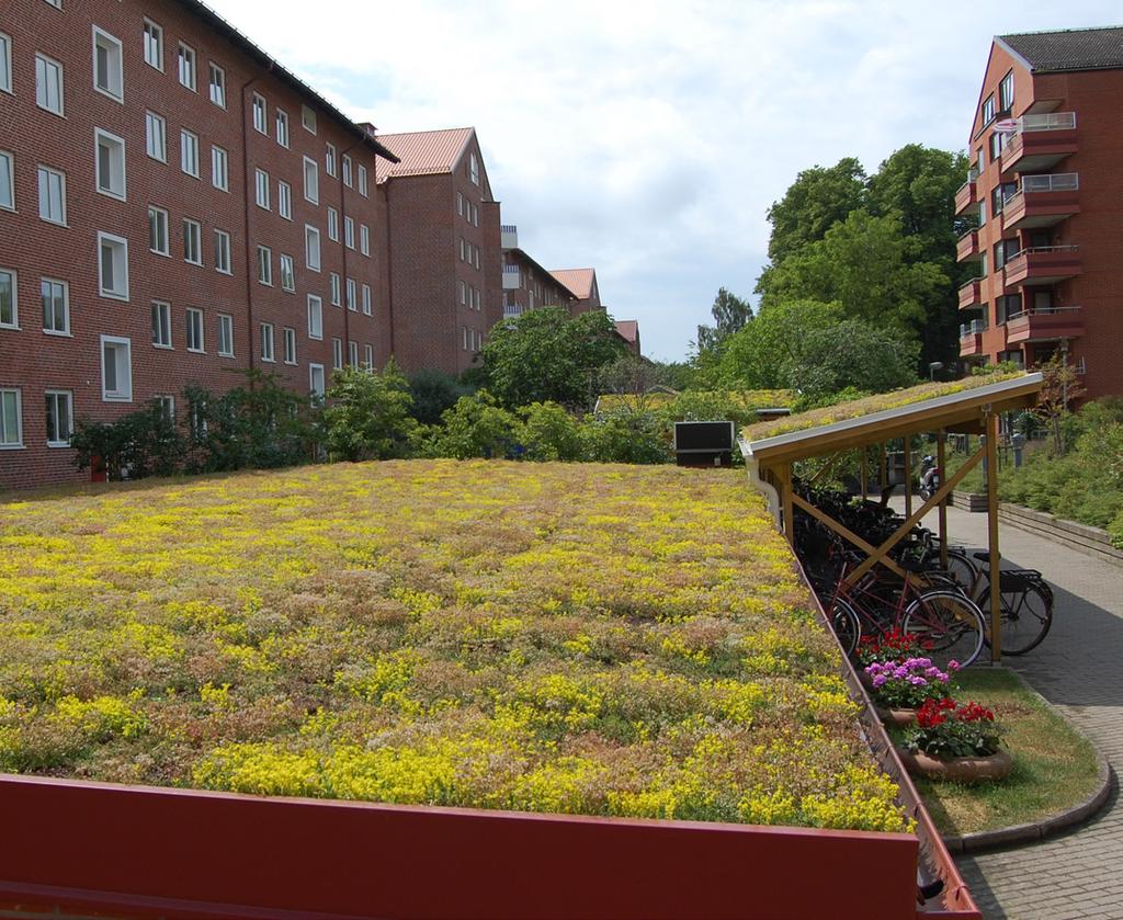 Tilläggsfaktor Poäng Kommentar Träd placerade så att de ger skugga 0,4 Behov av svalka och skugga ökar om fler och längre värmeböljor uppstår. Lövverk ger en behaglig skuggeffekt.
