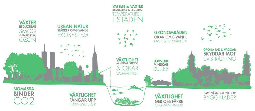 Ekosystemtjänster i stadsmiljö. Illustration: C/O-City.