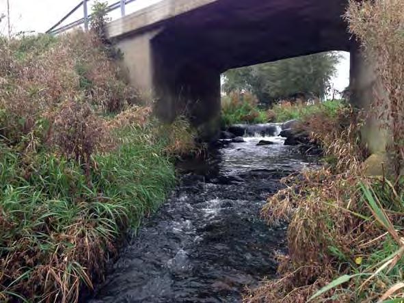 Örupsån 2014 Eklövs Fiske och Fiskevård Bilaga 1 Vattensystem Vattendrag Lokalnummer Datum Nybroån 089 Örupsån Ö-3 2014-10-02 Lokalnamn Lokalkoordinater Kommun Karta Landsvägsbron X:615664 Y:138354