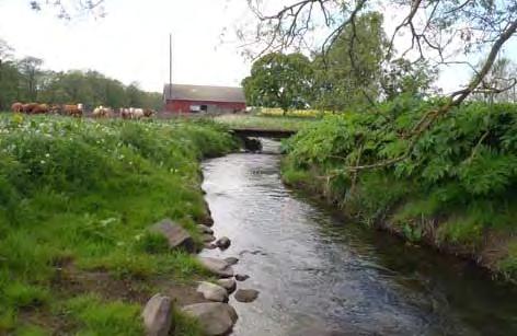 Örupsån 2015 Eklövs Fiske och Fiskevård Bilaga 2 3.