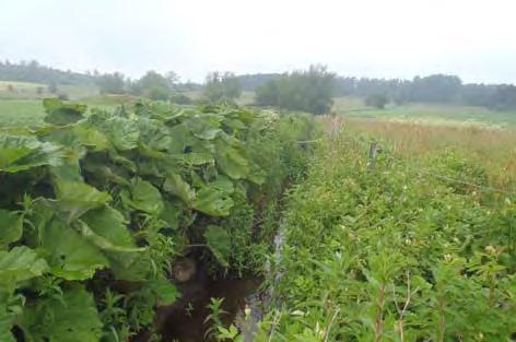 Örupsån 2015 Eklövs Fiske och Fiskevård Bilaga 2 Tillflöde Toarp (sträcka 1-4) Sträckan börjar X-koordinat: 6156146 Y-koordinat: 1386638 Sträckan slutar X-koordinat: 6155824 Y-koordinat: 1386513