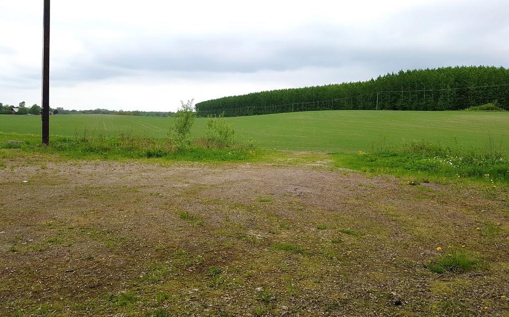 Allmän plats, park eller plantering Marken som är planlagd för allmän plats, park eller plantering (mellan befintlig transformatorstation och åkermarken) består främst