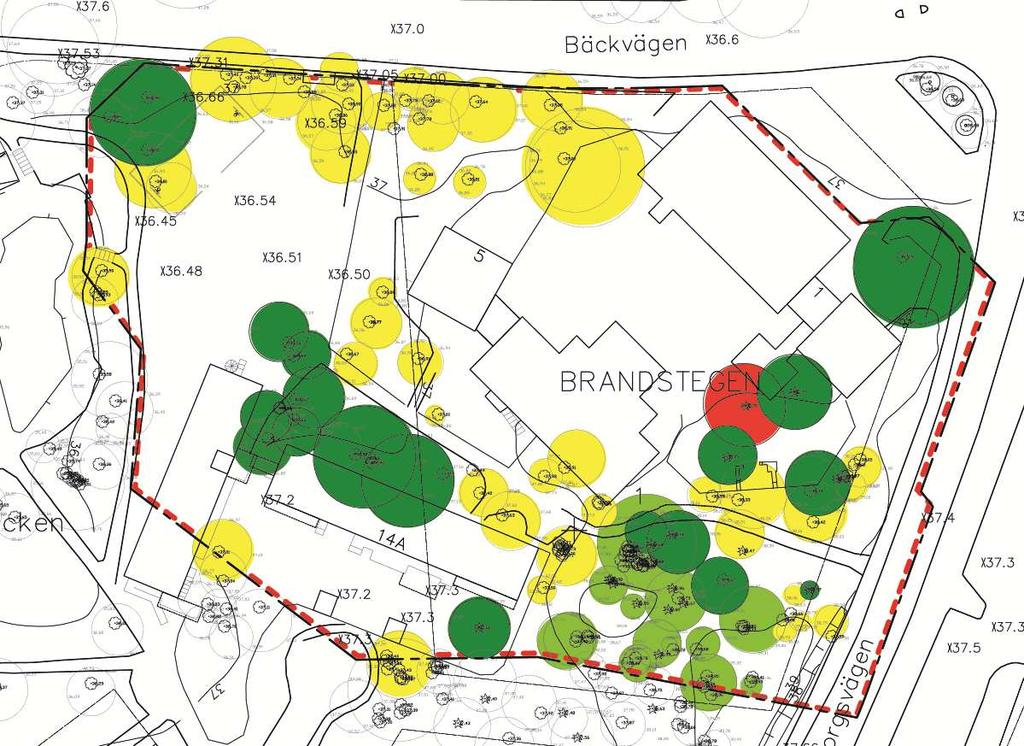 Översikt befintligt utseende Ett träd med bevarandevärde 2 kan behöva avverkas (träd 259, tall i östra delen av tomten) på grund av schaktarbeten i samband med grundläggningen av den nya byggnaden.