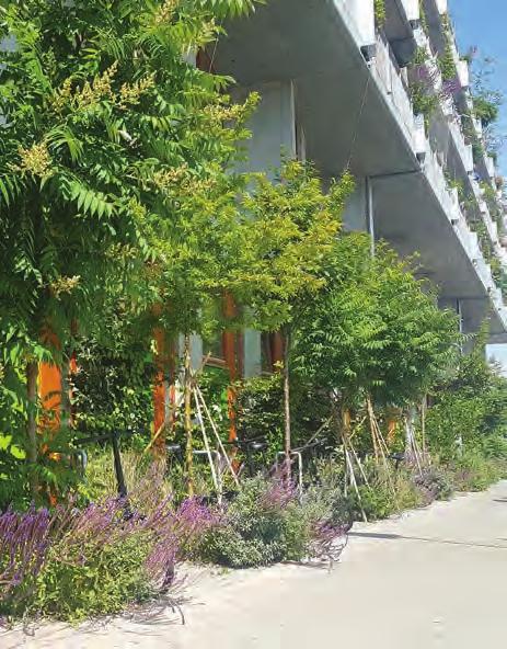 Cykelhuset Ohboy, Västra Hamnen, Malmö Framför skateparken Stapelbäddsparken i Västra Hamnen står ett nybyggt flerfamiljshus tillika hotell