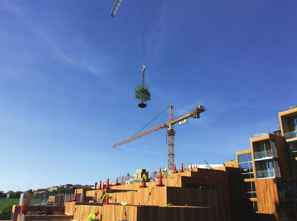 RDISK TRÄDFLYTT PÅ BJÄLKLAG 79 PARK, Stockholm I våra städers strävan mot förtätning ställs vi inför nya utmaningar.