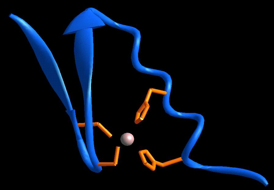 Biochemistry 201 Advanced Molecular Biology (http://cmgm cmgm.stanford.