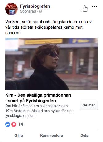 Besökare beslutar sig för att göra ett biobesök upp till en månad innan besöket då börjar vi marknadsföra filmen Genom att väcka uppmärksamhet har vi möjlighet att logga publikens intresse och