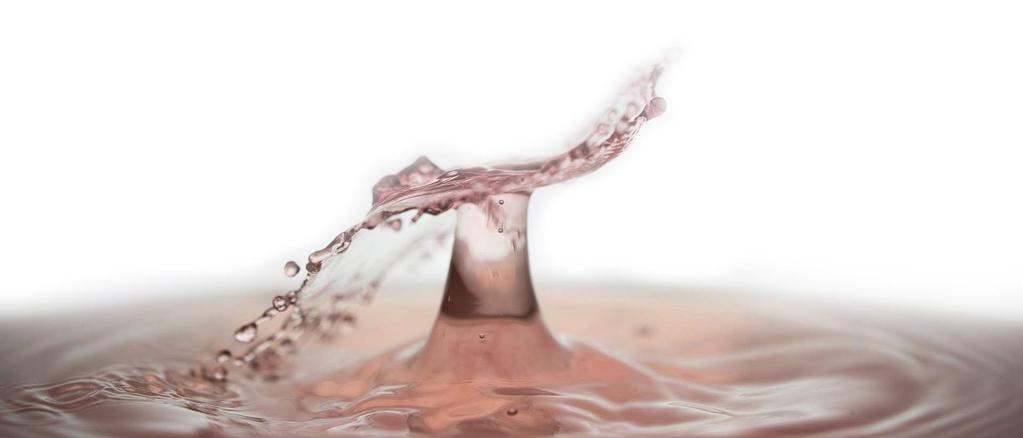 VERKSAMHETEN DET FÖRSTA HALVÅRET KVALITETSYSTEM ISO 13485:2016 Ellen är certifierad enligt ISO 13485:2016 som är ett regulatoriskt krav som ställs på företag som har produkter med en medicinteknisk