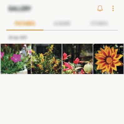 Program Galleri Inledning Visa bilder och videor som finns lagrade på enheten.